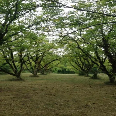 Countryside 度假居