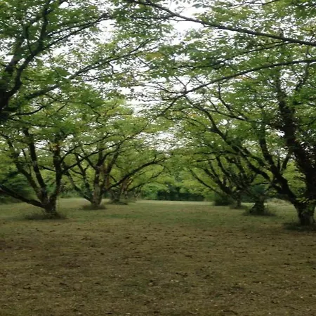 Countryside Дом отдыха *