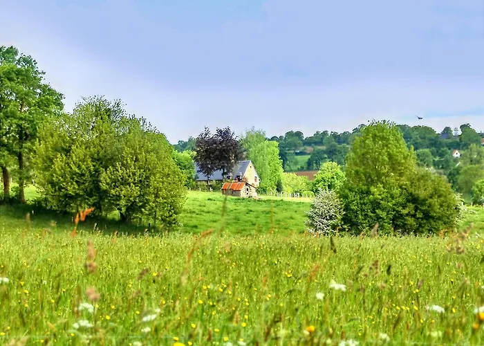 Countryside * Montaigu-les-Bois